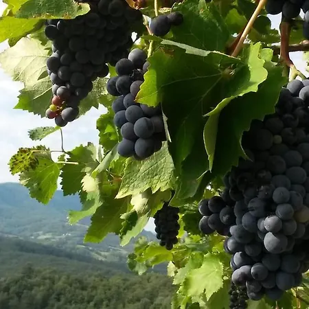 Casa Riservata Sulle Colline Di Parma Oasi Di Pace *