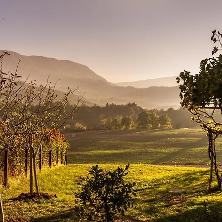 펜션 Casa Riservata Sulle Colline Di Parma Oasi Di Pace